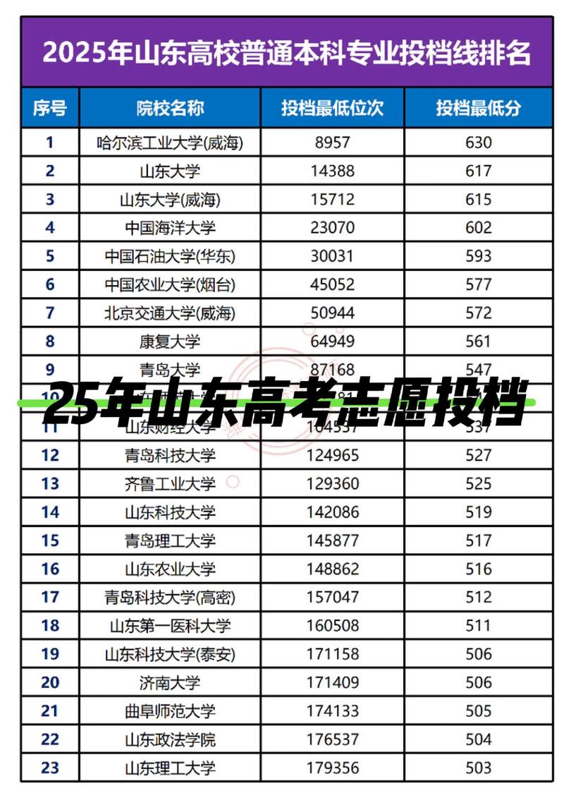 职场之路的重新启航：学历提升助你飞跃职业高峰